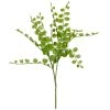 Cheap ✔️ 18 Pack: Assorted Fern Pick by Ashland® 😀 -Ashland Sales 10546923 1 1