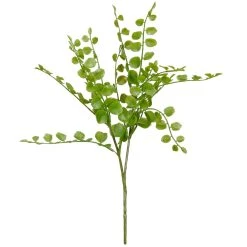 Cheap ✔️ 18 Pack: Assorted Fern Pick by Ashland® 😀 8 Cheap ✔️ 18 Pack: Assorted Fern Pick by Ashland® 😀 -Ashland Sales 10546923 2