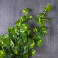 Deals 🎁 Hanging Philo Bush by Ashland® 🌟 -Ashland Sales 10547222 22