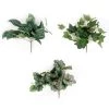 Best reviews of π Assorted Ivy Leaf Pick By Ashland™ π― 2 Best reviews of π Assorted Ivy Leaf Pick By Ashland™ π― -Ashland Sales 10547224 1