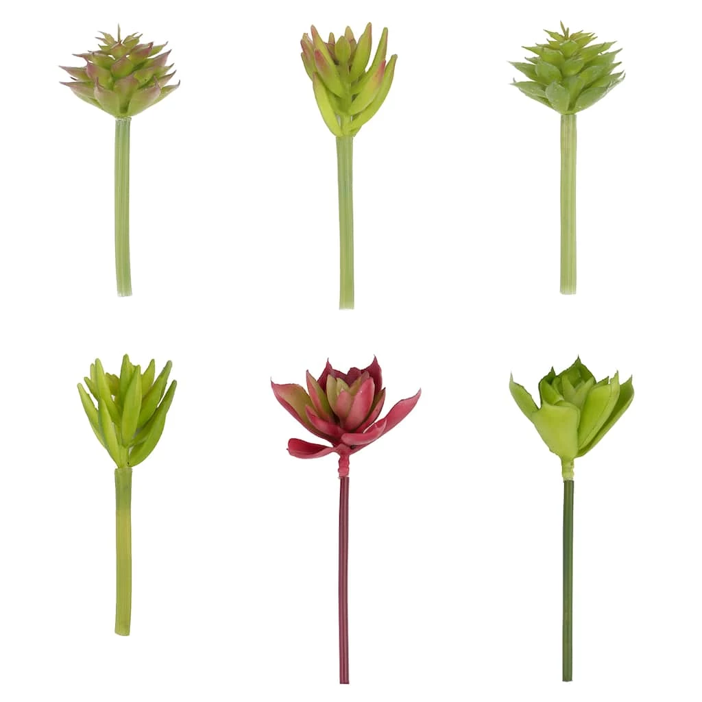 Coupon ⌛ 24 Pack: Assorted Succulent Pick by Ashland® 🔔 3 Coupon ⌛ 24 Pack: Assorted Succulent Pick by Ashland® 🔔