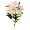 Best Sale ⭐ Cream Peony Bush by Ashland® 🛒 -Ashland Sales 10547348 1