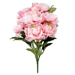 Wholesale 🧨 Pink Peony Bush by Ashland® 😍