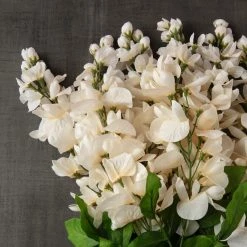 Wholesale 🤩 Cream Wisteria Bush by Ashland® 🥰 -Ashland Sales 10547398 25