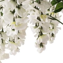 Promo ⌛ White Wisteria Bush by Ashland® ❤️ -Ashland Sales 10547400 20