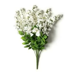 Promo ⌛ White Wisteria Bush by Ashland® ❤️ -Ashland Sales 10547400 21