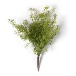 Buy 🎁 Springeri Bush by Ashland® 🧨 -Ashland Sales 10547458 21