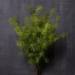 Buy 🎁 Springeri Bush by Ashland® 🧨 -Ashland Sales 10547458 22