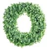 Top 10 ❤️ 20" Plastic Foliage Wreath by Ashland® ✔️ -Ashland Sales 10547486 1