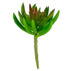 Promo 🧨 Assorted Succulent Pick By Ashland® 😀 -Ashland Sales 10547488 3