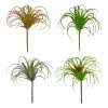 Cheap ✨ Assorted Tillandsia Pick By Ashland® 😍 -Ashland Sales 10547489