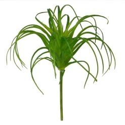 Cheap ✨ Assorted Tillandsia Pick By Ashland® 😍 -Ashland Sales 10547489 2