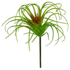 Cheap ✨ Assorted Tillandsia Pick By Ashland® 😍 -Ashland Sales 10547489 3