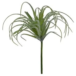 Cheap ✨ Assorted Tillandsia Pick By Ashland® 😍 -Ashland Sales 10547489 4