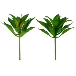 Deals 🎉 12 Pack: Assorted Agave Pick by Ashland® 😍