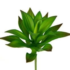 Deals 🎉 12 Pack: Assorted Agave Pick by Ashland® 😍 -Ashland Sales 10547490 2