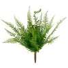 Cheapest 😉 8 Pack: Green Boston Fern Bush by Ashland® 🥰 2 Cheapest 😉 8 Pack: Green Boston Fern Bush by Ashland® 🥰 -Ashland Sales 10547493