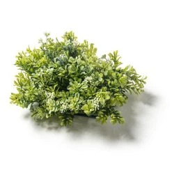 Cheapest 🔥 Green Boxwood Mat by Ashland® ⭐ -Ashland Sales 10547534 21