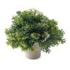 Cheapest 🎁 Premade Boxwood Bush by Ashland® 😍 -Ashland Sales 10547538 21