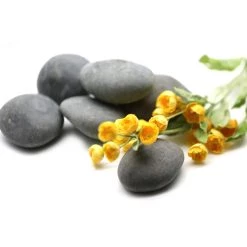 Cheap 😍 16 Pack: Large Washed Black Stones by Ashland™ ✨ -Ashland Sales 10552993 3 1