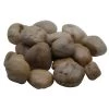 Coupon 💯 16 Pack: Brown River Rocks by Ashland® 🔔 -Ashland Sales 10556692 3 1