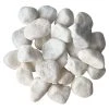 Cheapest 🔥 White Marble Rocks By Ashland™ 🧨 -Ashland Sales 10556694 31