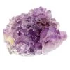 Wholesale 🎉 12 Pack: Amethyst Cluster by Ashland® 🤩 -Ashland Sales 10558677 u