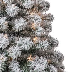 Best reviews of ✔️ 4ft. Pre-Lit Cypress Artificial 🎄 Christmas Tree, Clear Lights by Ashland® 🎁 -Ashland Sales 10599014 10