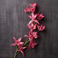 Brand new 🎉 Mauve Boat Orchid Spray by Ashland® 💯 -Ashland Sales 10626413 22