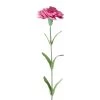 Best Sale 🌟 24 Pack: Hot Pink Carnation Stem by Ashland® 👍