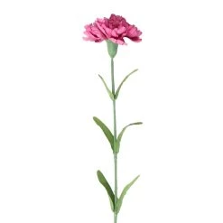 Best Sale π 24 Pack: Hot Pink Carnation Stem by Ashland® π