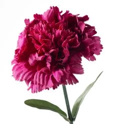 Best reviews of 🛒 Hot Pink Carnation Stem by Ashland® 🎉 -Ashland Sales 10626417 20