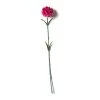 Best reviews of 🛒 Hot Pink Carnation Stem by Ashland® 🎉 -Ashland Sales 10626417 21