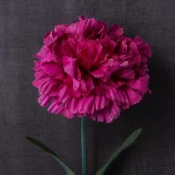 Best reviews of 🛒 Hot Pink Carnation Stem by Ashland® 🎉 -Ashland Sales 10626417 22