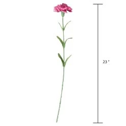 Best Sale 🌟 24 Pack: Hot Pink Carnation Stem by Ashland® 👍 -Ashland Sales 10626417 3 1