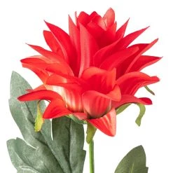 Best reviews of ❤️ Red Hops Stem by Ashland® 🌟 -Ashland Sales 10626421 20