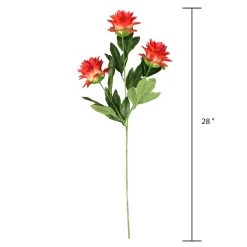 Best reviews of ❤️ Red Hops Stem by Ashland® 🌟 -Ashland Sales 10626421 3