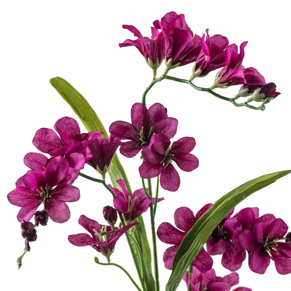 Best reviews of 🔥 Hot Purple Freesia Stem by Ashland® ❤️ 7 Best reviews of 🔥 Hot Purple Freesia Stem by Ashland® ❤️ - Image 5
