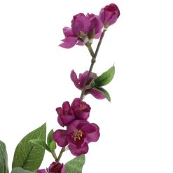 Promo ✔️ 12 Pack: Fuchsia Blossom Spray by Ashland® 🧨 9 Promo ✔️ 12 Pack: Fuchsia Blossom Spray by Ashland® 🧨 -Ashland Sales 10626435 2