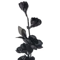 Brand new 🛒 Black Blossom Spray by Ashland® 👍 -Ashland Sales 10626437 20