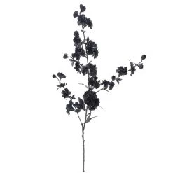 Flash Sale 😉 12 Pack: Black Blossom Spray by Ashland® 😀 -Ashland Sales 10626437 3