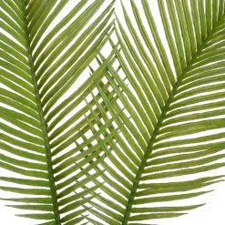 New 🔔 Green Sago Palm Stem by Ashland® 🛒 -Ashland Sales 10626443 2
