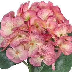 Hot Sale 🧨 12 Pack: Mauve Hydrangea Stem by Ashland® 🤩 8 Hot Sale 🧨 12 Pack: Mauve Hydrangea Stem by Ashland® 🤩 -Ashland Sales 10626445 2
