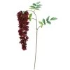 Hot Sale 😍 12 Pack: Burgundy Wisteria Stem by Ashland® 🔥 -Ashland Sales 10626453 1