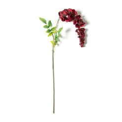 Top 10 🎁 Burgundy Wisteria Stem by Ashland® 🌟