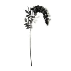 Best deal π Black Wisteria Stem by Ashland® π