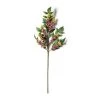 Outlet 🎁 Burgundy Berry Stem with Leaves by Ashland® 🌟 1 Outlet 🎁 Burgundy Berry Stem with Leaves by Ashland® 🌟 -Ashland Sales 10626463 21