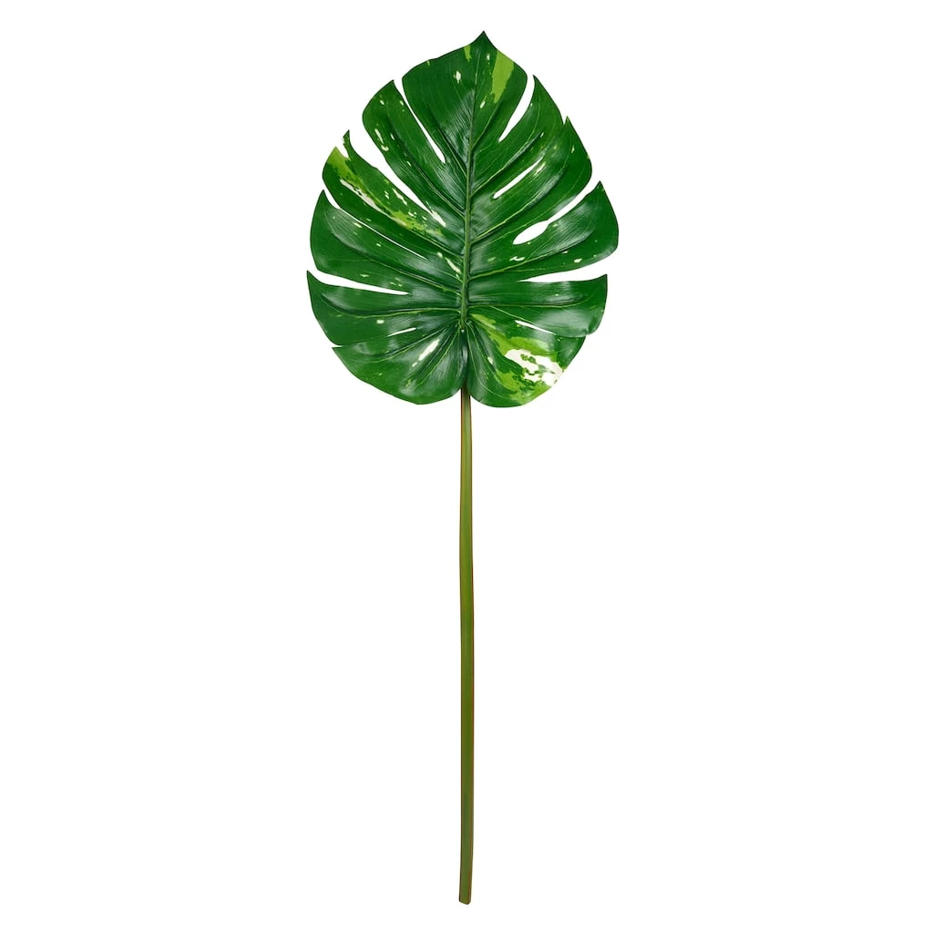 Best Pirce ✨ 12 Pack: Monstera Leaf Stem by Ashland® 😍 3 Best Pirce ✨ 12 Pack: Monstera Leaf Stem by Ashland® 😍