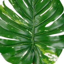 Best Pirce ✨ 12 Pack: Monstera Leaf Stem by Ashland® 😍 8 Best Pirce ✨ 12 Pack: Monstera Leaf Stem by Ashland® 😍 -Ashland Sales 10626467 2