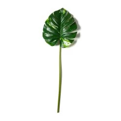 Best Sale π Monstera Leaf Stem by Ashland® π€©